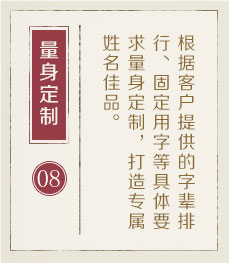 项城起名流程八