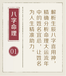 项城起名流程一